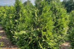 274298873_553313369484800_8889217401856418703_n