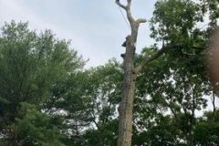 274327729_637393270671575_740207466501939367_n