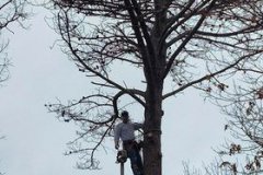 274409705_1166361610769771_6660650562893630008_n