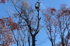 274471437_682341846547190_8901492925462879926_n