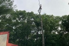 274472117_250622983950608_2445766248586141945_n