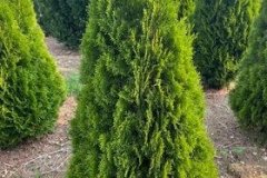 274490621_1201532143710952_5633013676129231812_n