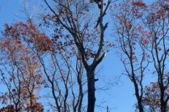 274839303_375981124343412_6064112306735814134_n