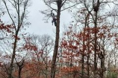 274905298_365598278568739_2169437002556734450_n