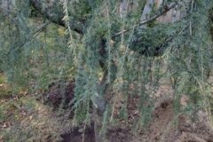 275232826_334436878649078_5410039165884480281_n