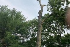 275605979_994365771490561_8072681519693736609_n